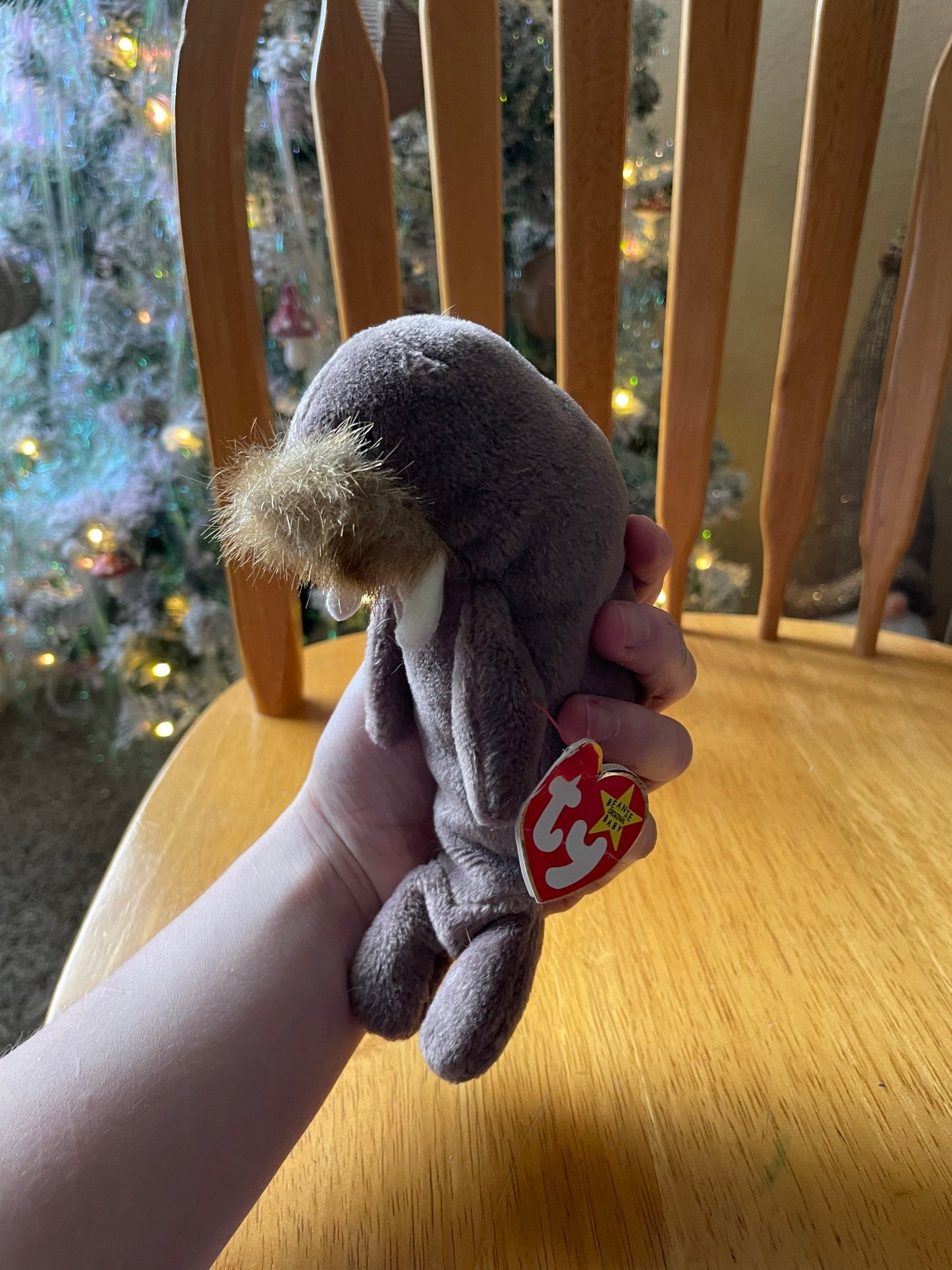 Ty Beanie Baby Jolly the Walrus Plush NWT