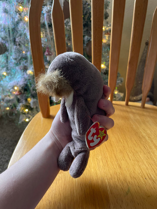 Ty Beanie Baby Jolly the Walrus Plush NWT