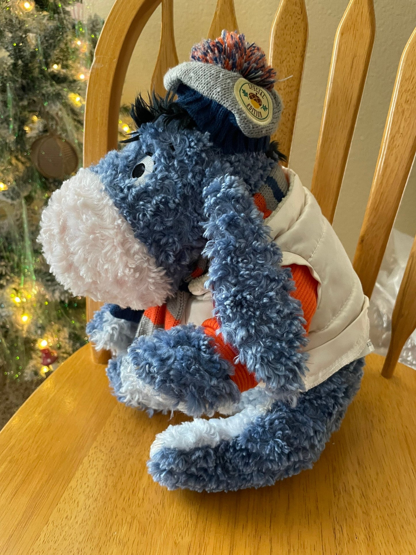 Eeyore Fall/Autumn Special Edition Plush - Rare and Very HTF!!!