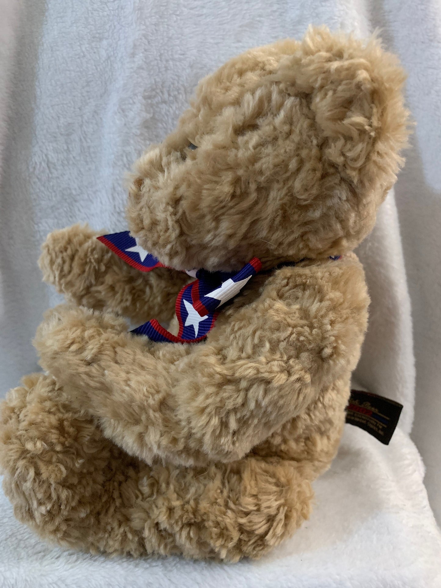 Vintage Gund Wish Bear Plush, 100th Anniversary Teddy Bear