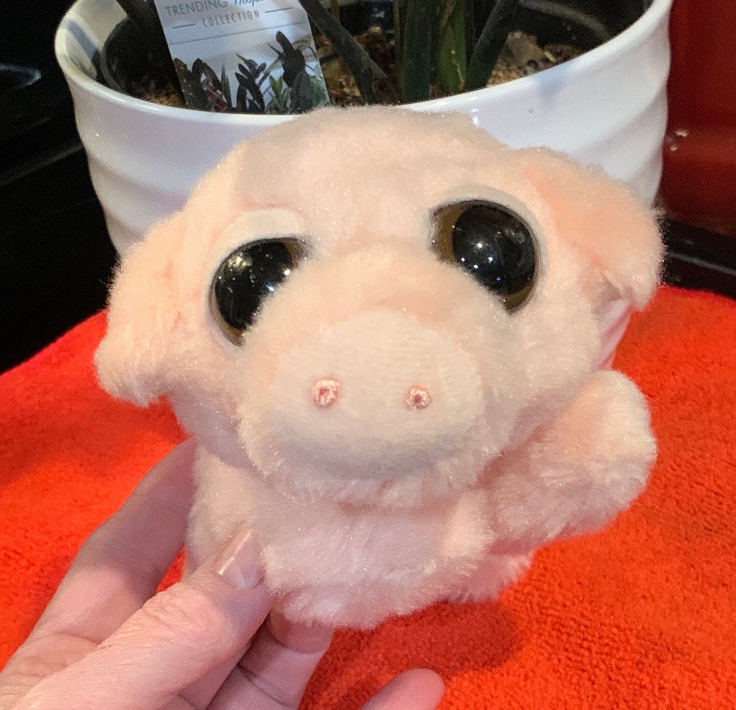 Pig Baby Dreamy Eyes by Aurora