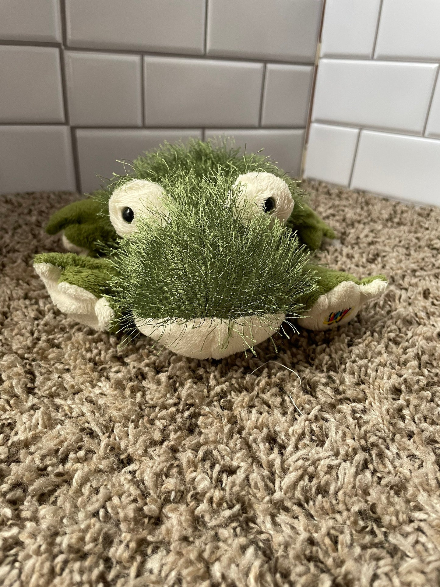 Webkinz Lil Kinz Shaggy Green Frog Plush (No Code)
