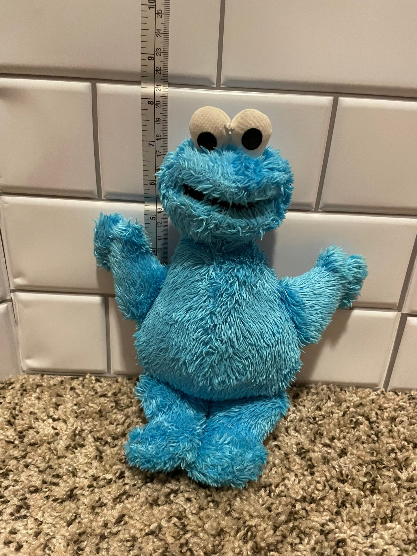 Cookie Monster plush