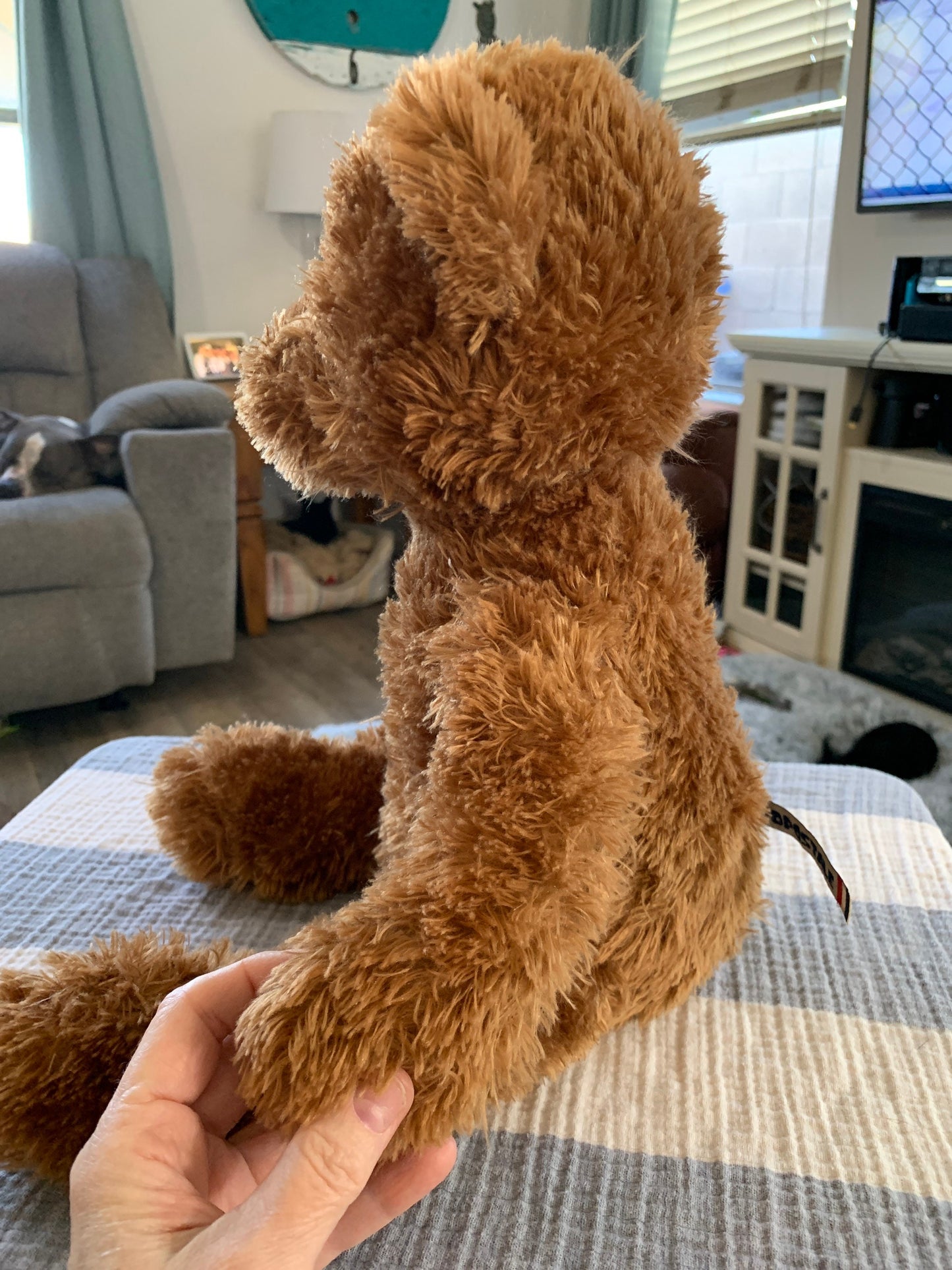 Aeropostale Brown Teddy Bear Plush - Fuzzy Stuffed Animal