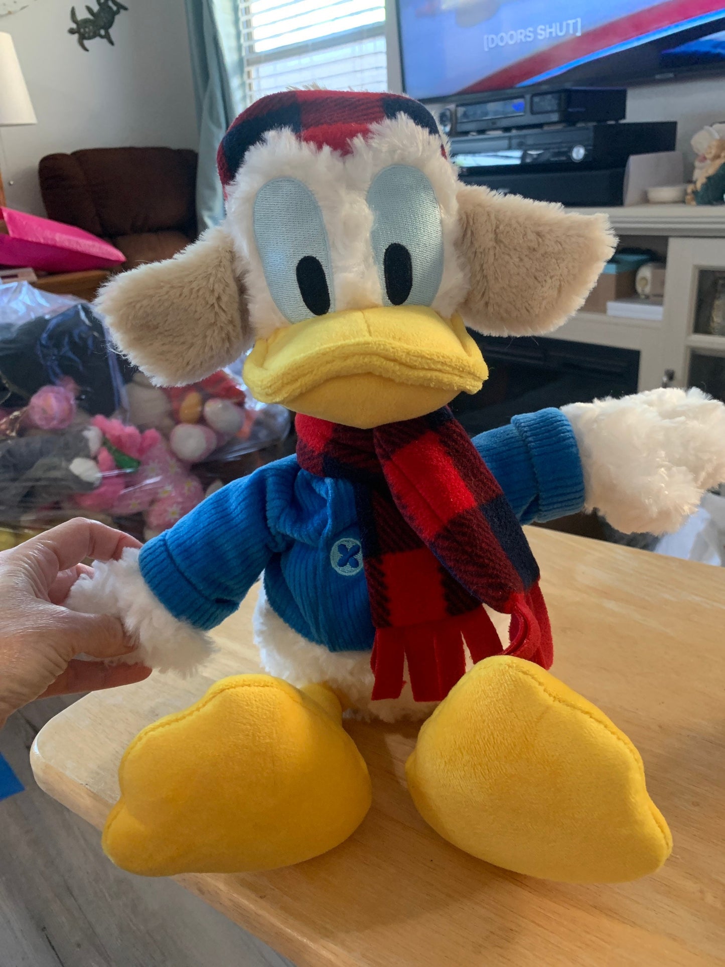 Disney Parks Donald Duck Winter Wishes Christmas 17” Plush Disney Parks