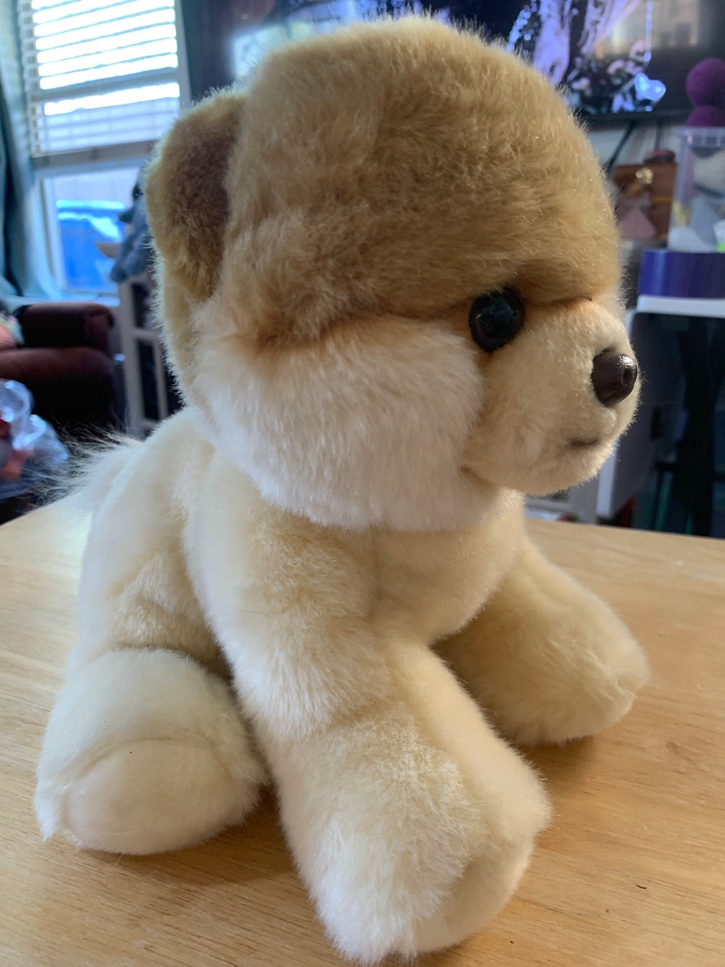 Gund Boo the Pomeranian Plush. Excellent Condition