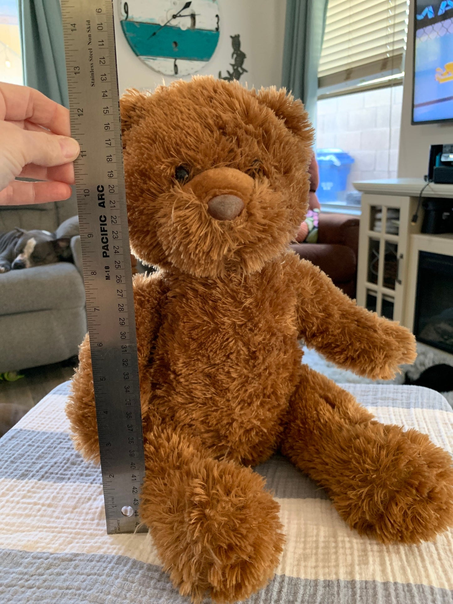 Aeropostale Brown Teddy Bear Plush - Fuzzy Stuffed Animal
