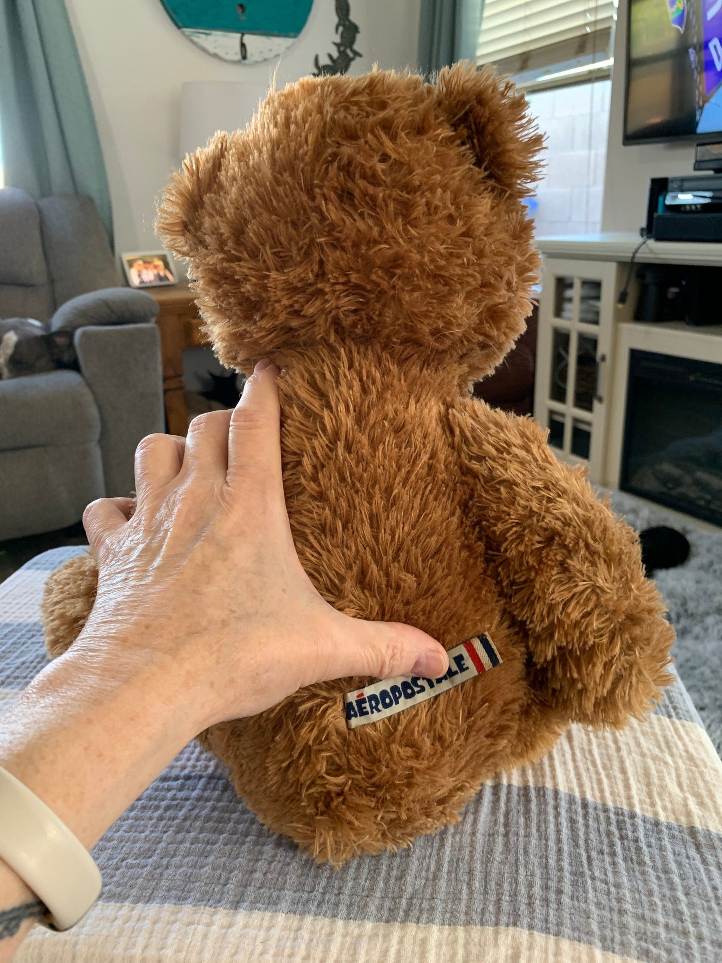 Aeropostale Brown Teddy Bear Plush - Fuzzy Stuffed Animal