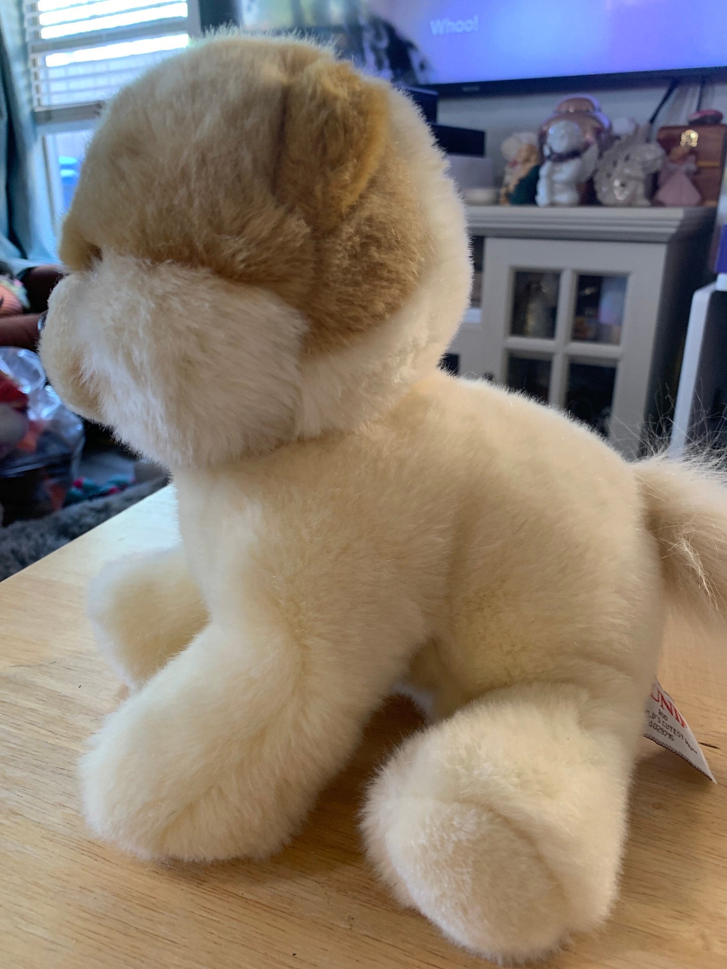 Gund Boo the Pomeranian Plush. Excellent Condition