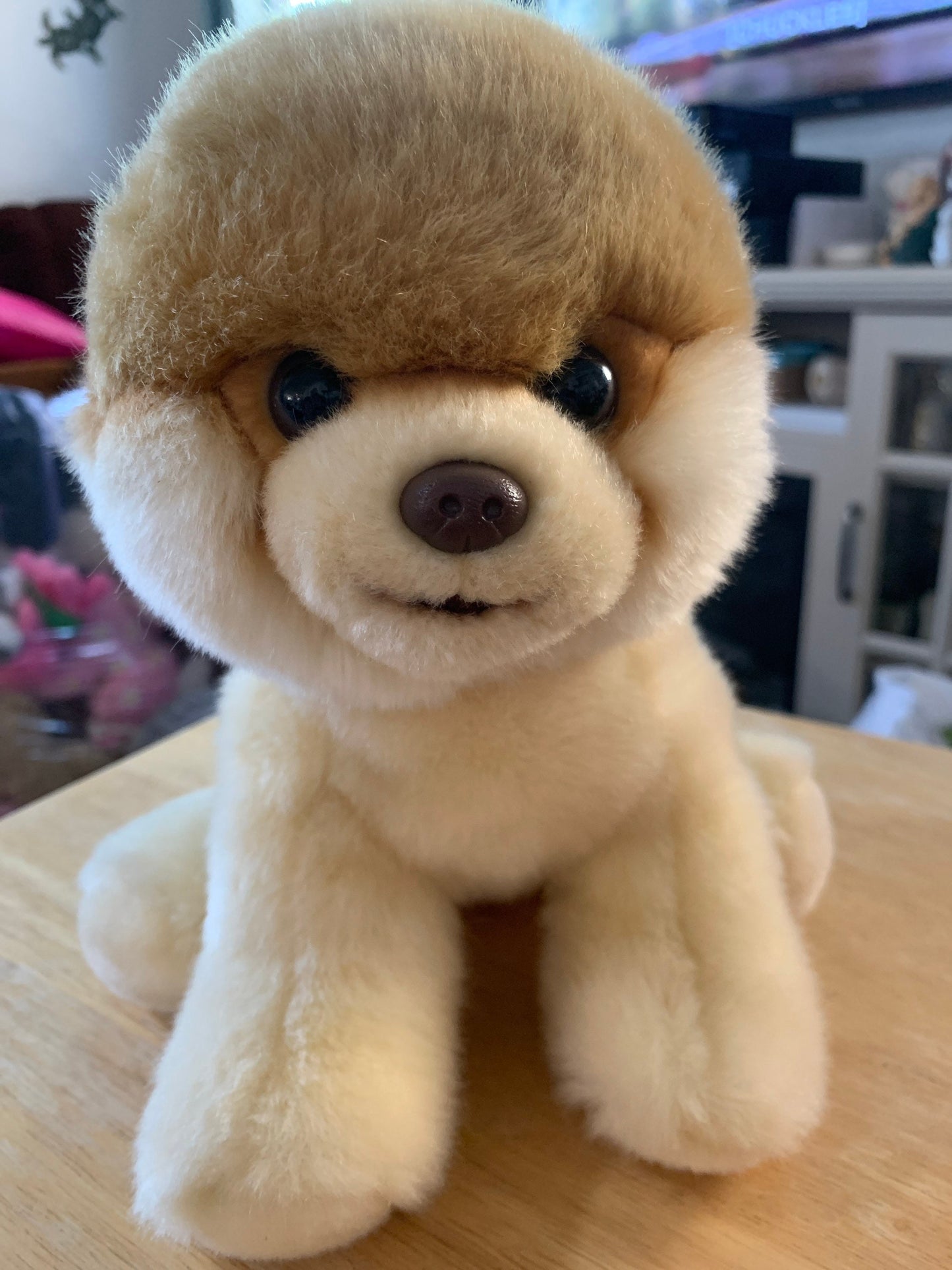 Gund Boo the Pomeranian Plush. Excellent Condition