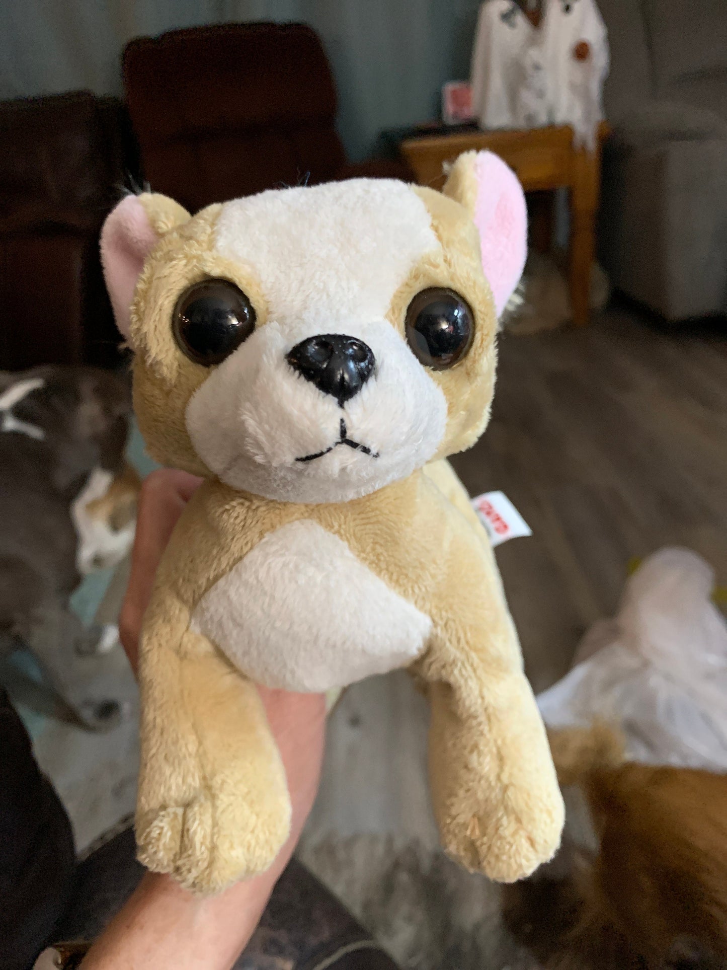 Webkinz Tan and White Chihuahua Dog Plush. No Code