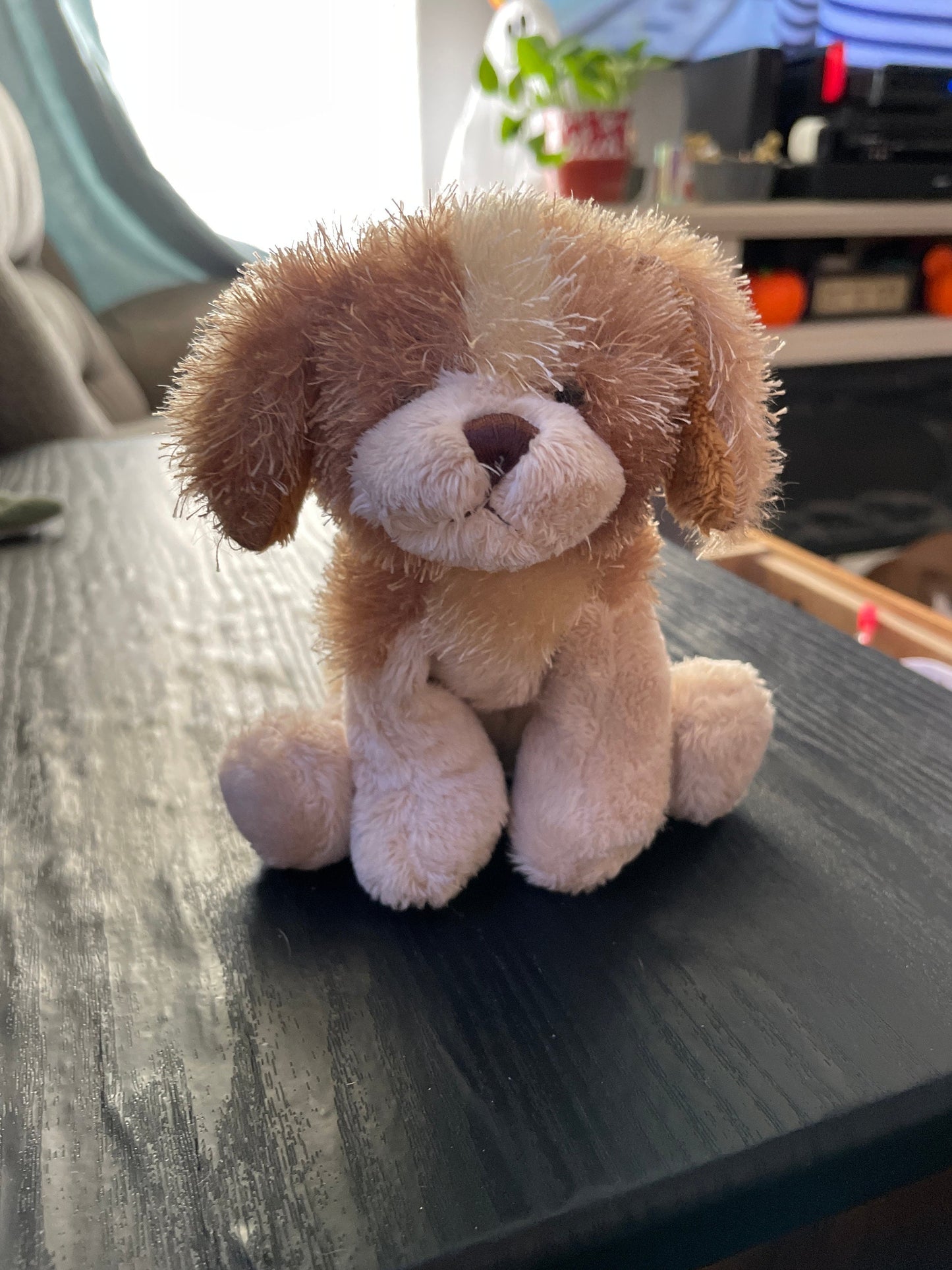 Webkinz Lil Kinz Cocker Spaniel Plush: Brown & Tan Dog (No Code)