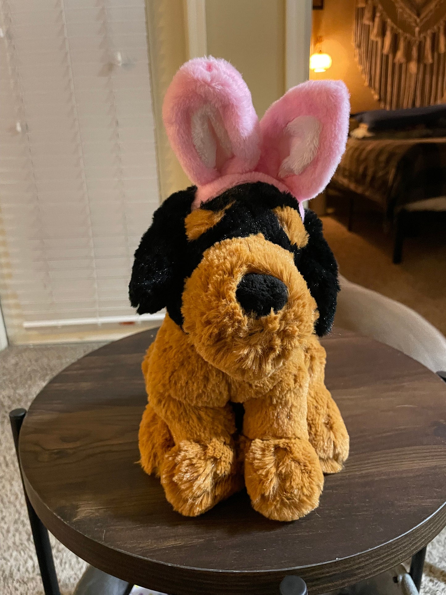 Inter-American puppy dog with bunny ears plush