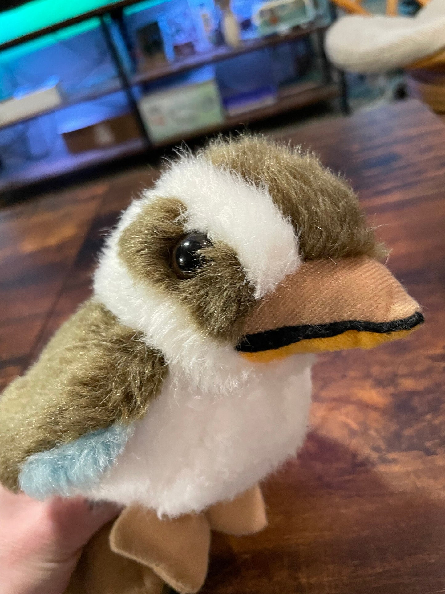 Australia Souvenir Kookaburra Bird Plush