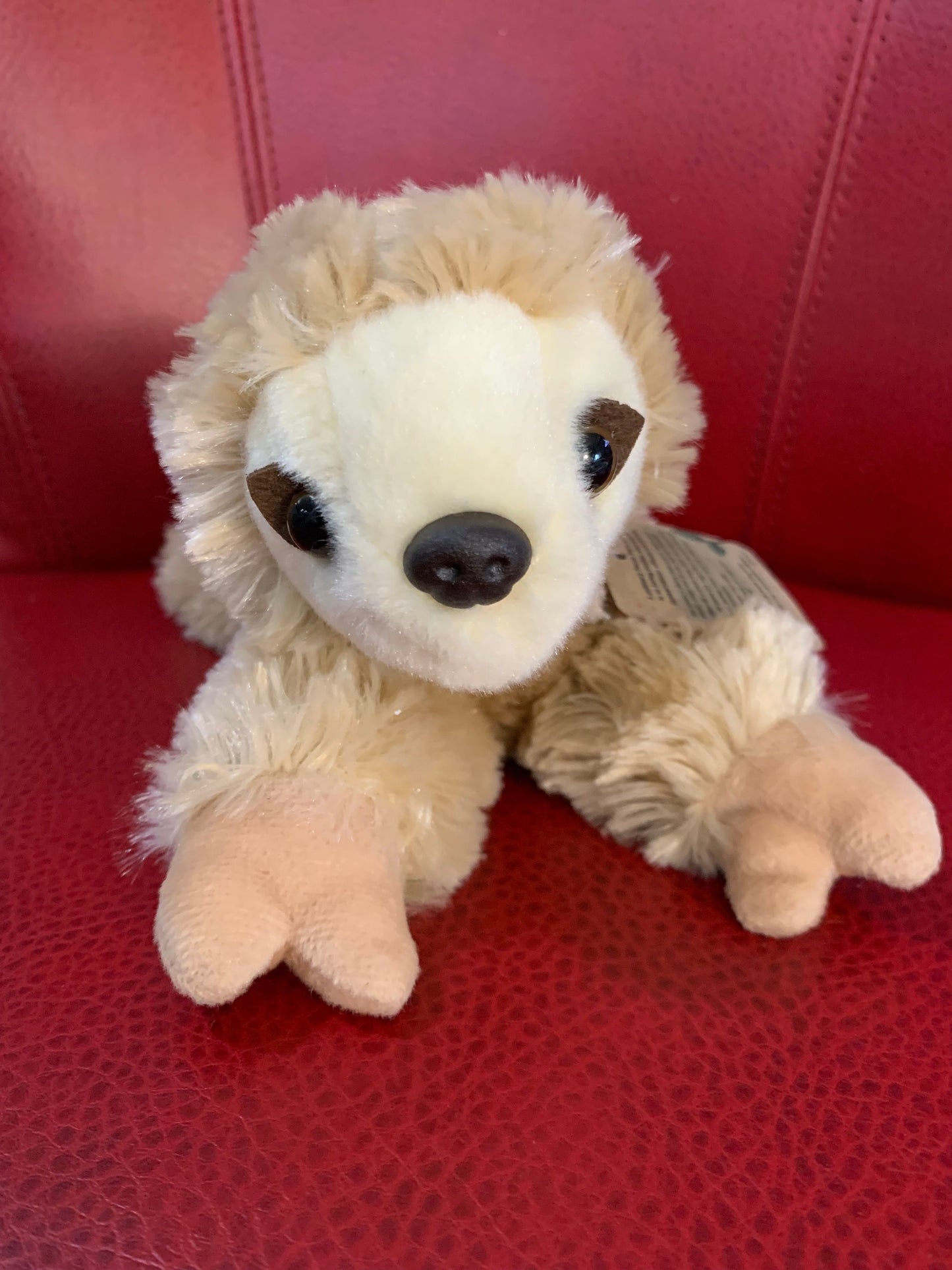 Aurora Two-Toed Sloth Plush, 8" – Tan and White, Soft NWT