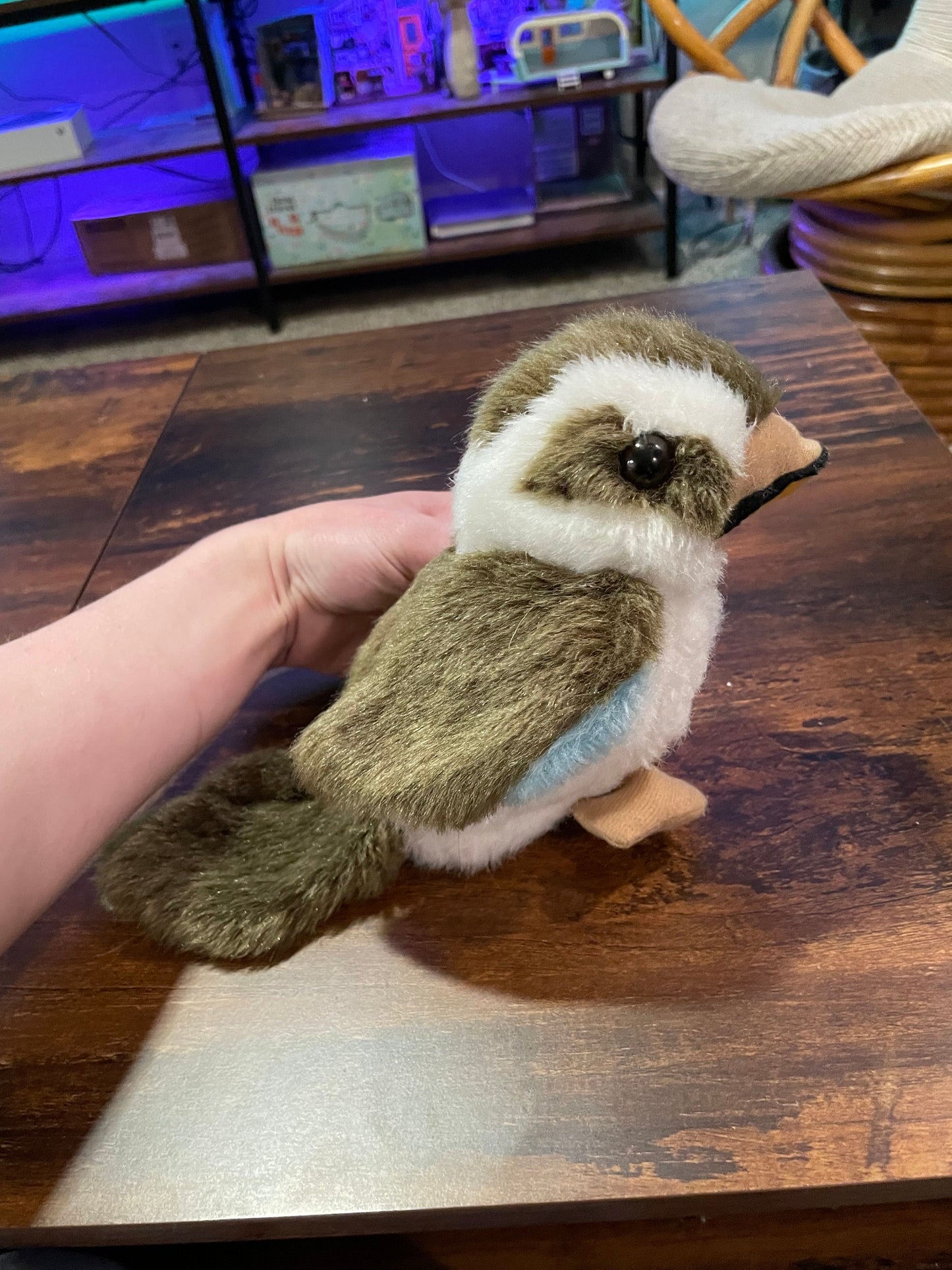 Australia Souvenir Kookaburra Bird Plush