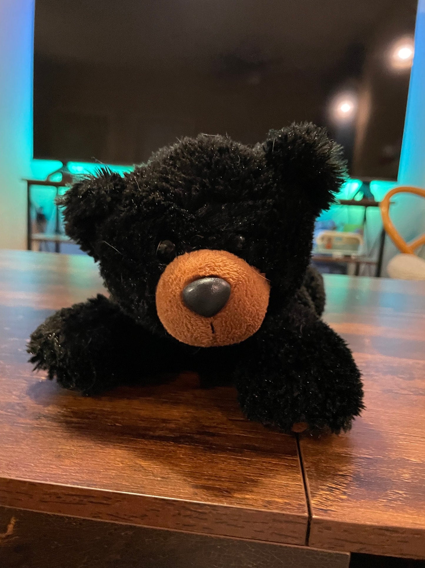 Aurora  black bear plush