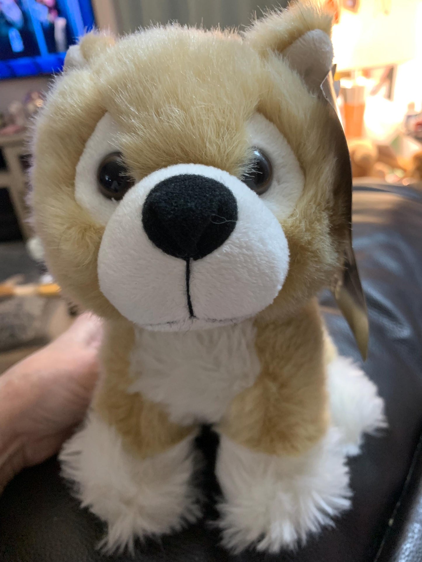 Game of Thrones DireWolf Summer Cub Stuffed Animal. New with tags