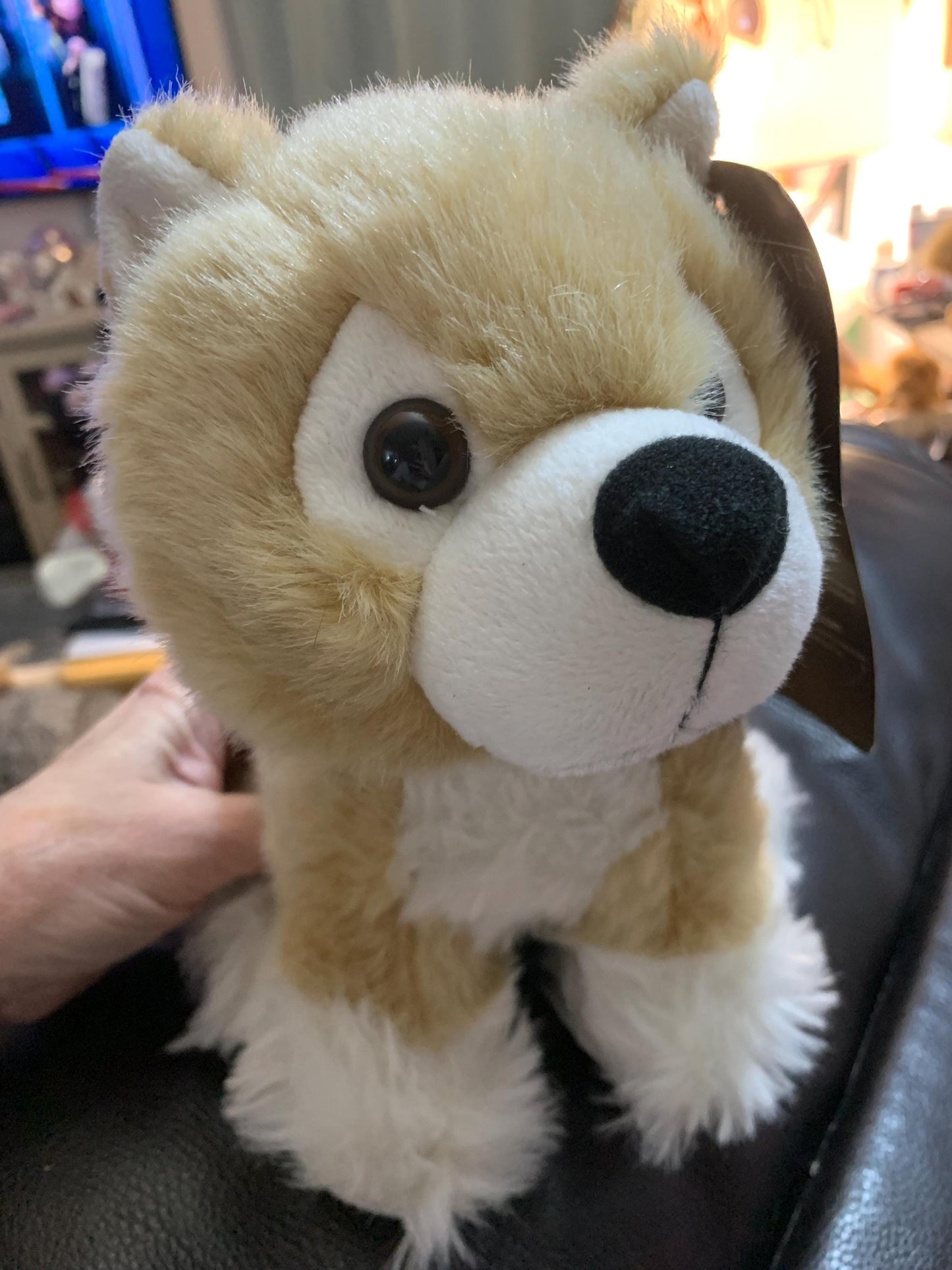 Game of Thrones DireWolf Summer Cub Stuffed Animal. New with tags