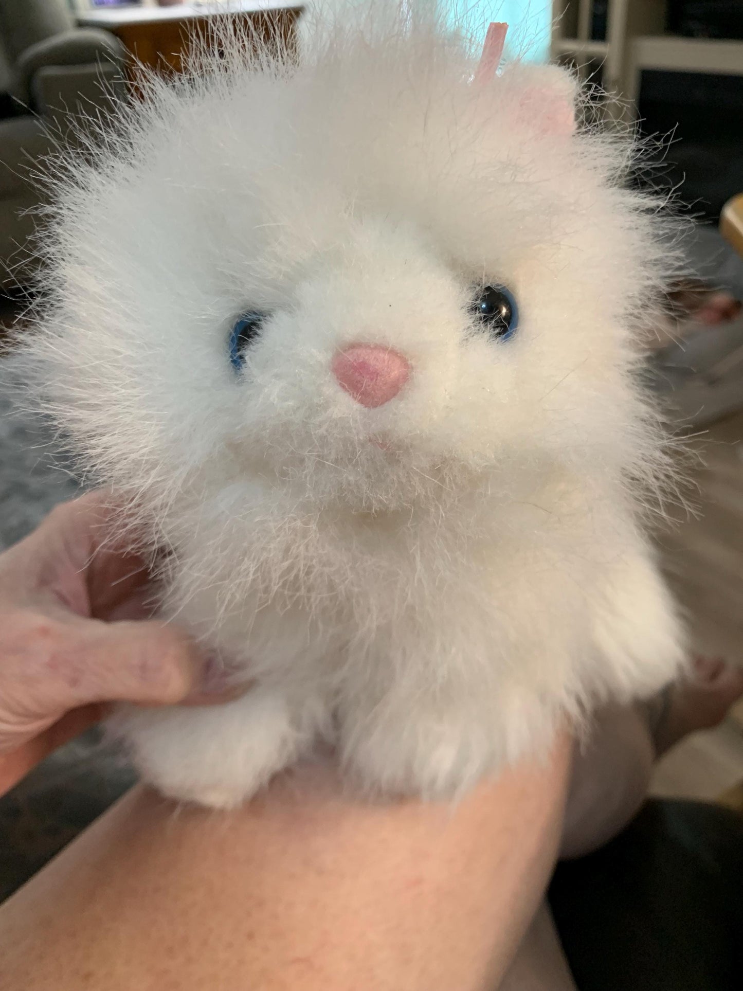 Webkinz Ganz White Persian Cat Blue Eyes, Pink Bows Plush - No code GUC