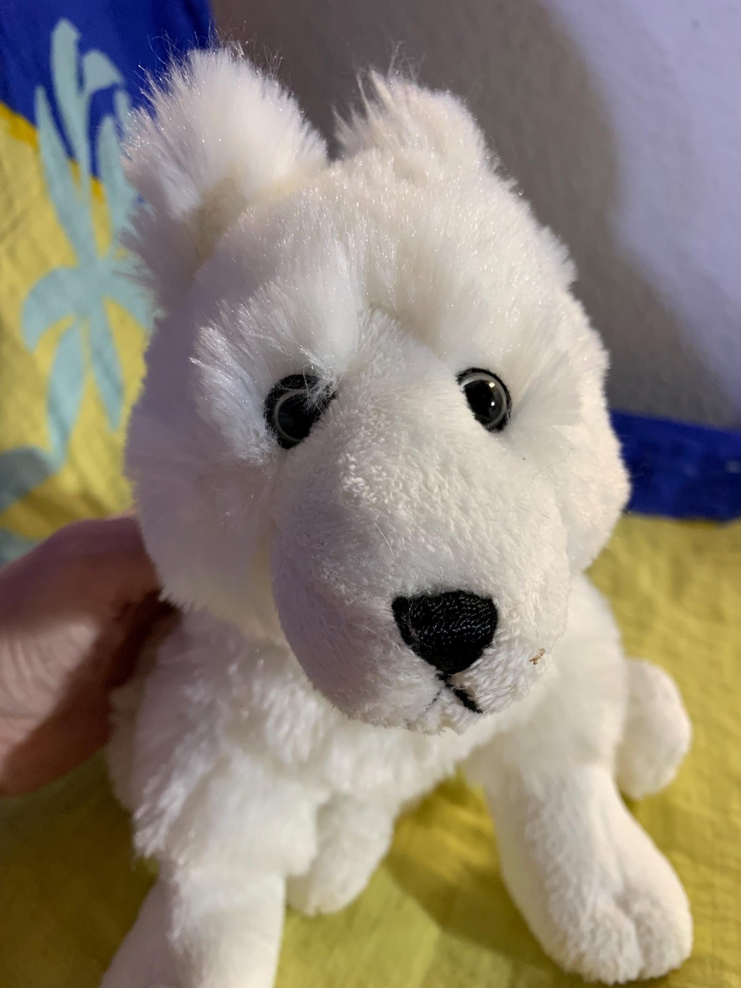 Webkinz White Arctic Fox Plush, Rare Collectible