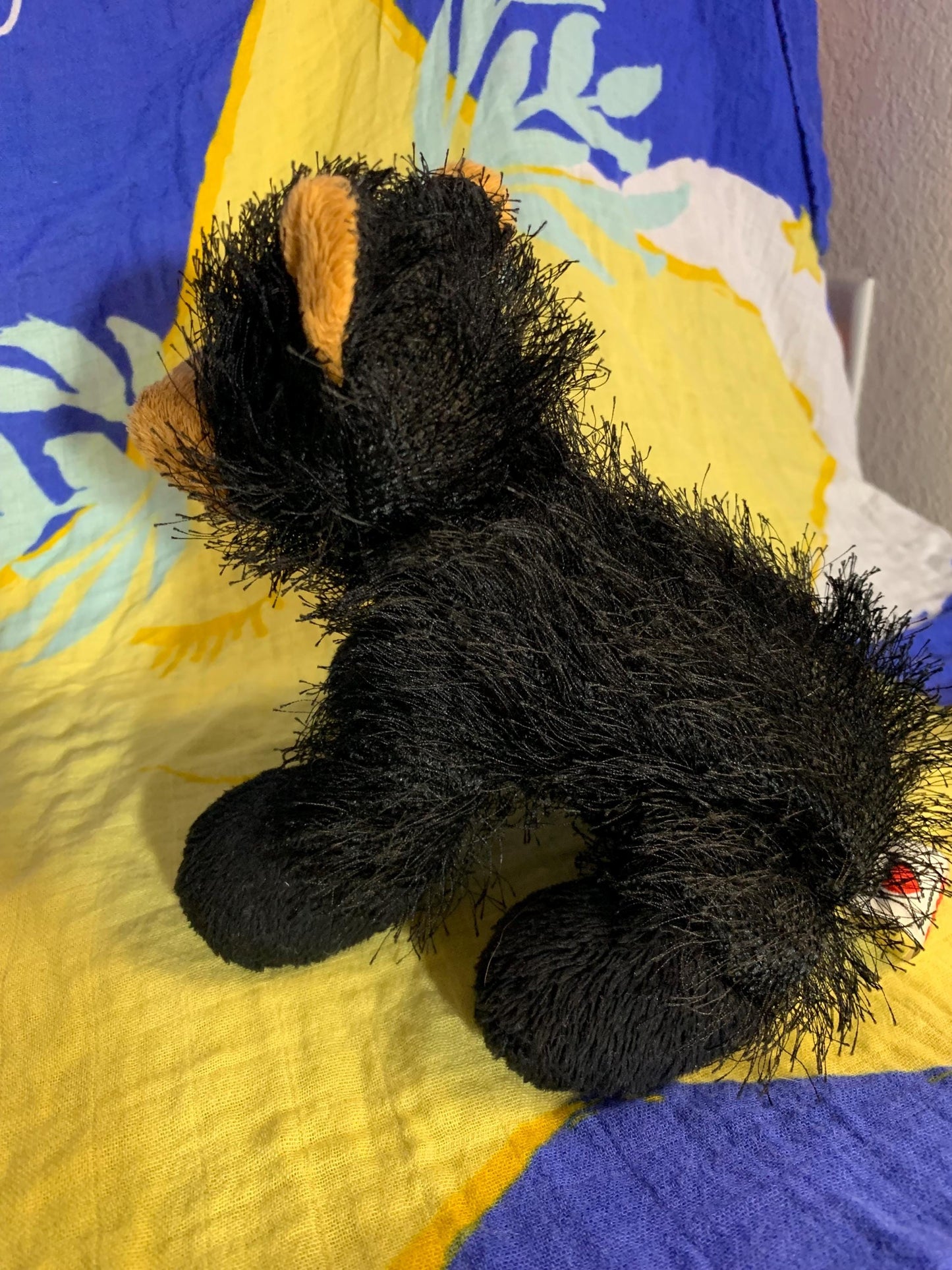 Webkinz Black Bear Plush, Ganz Stuffed Animal (No Code)