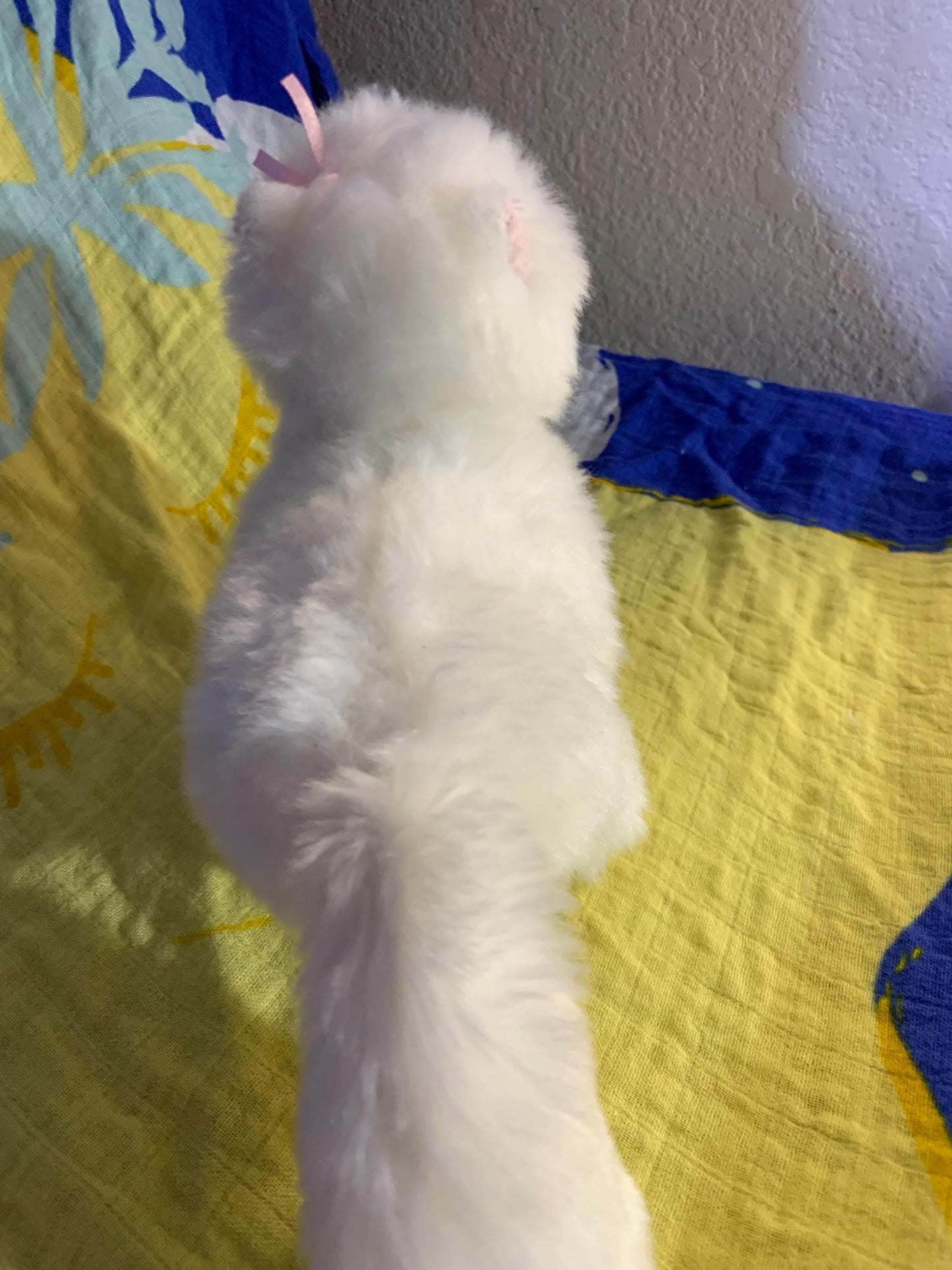 Webkinz Lil Kinz White Persian Cat Plush, No Code