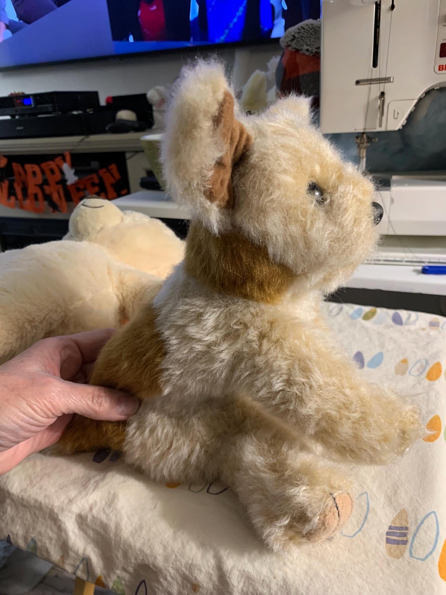 Ty Taffy Terrier Plush, Cream and Brown Shaggy Dog