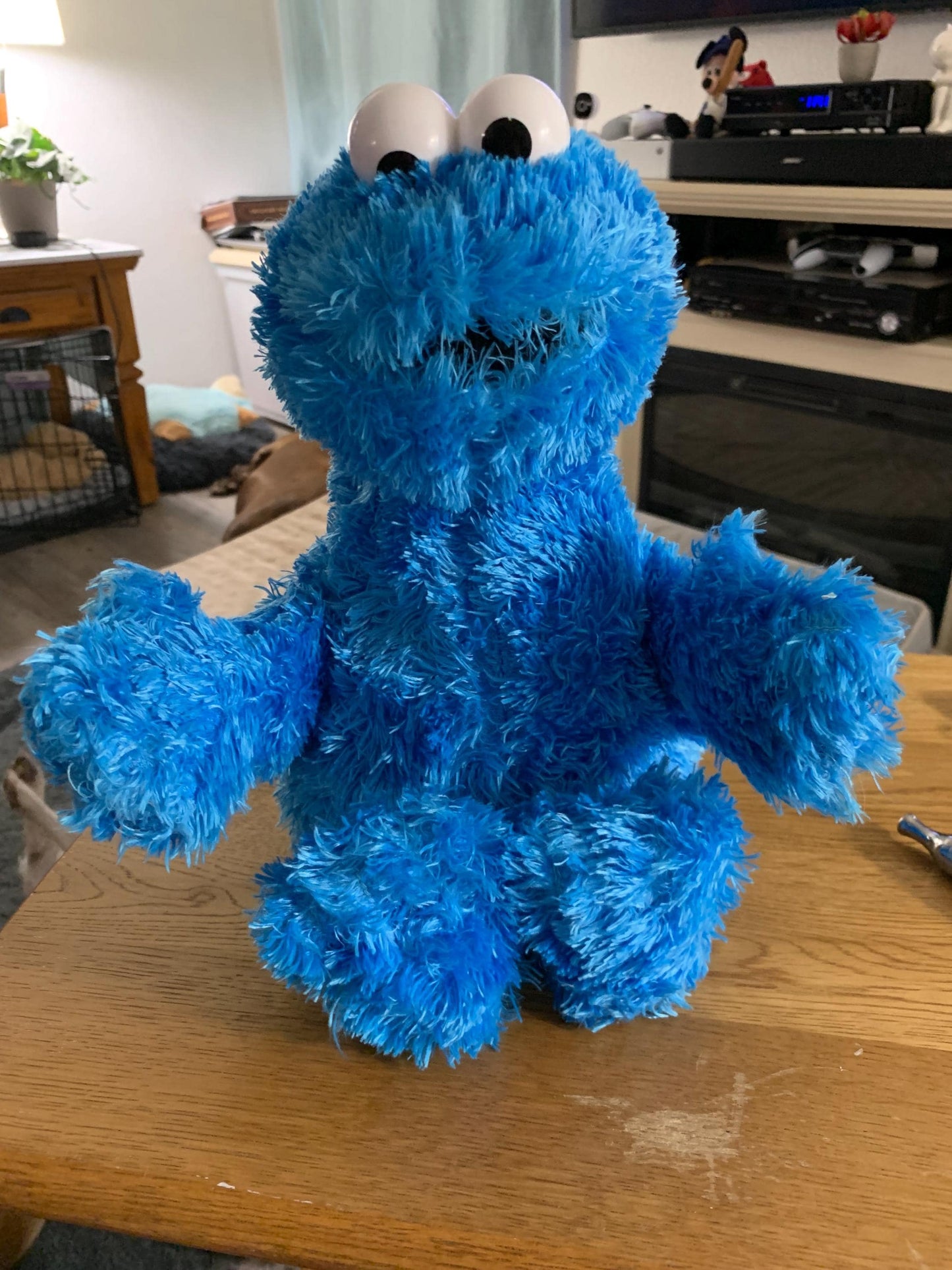 Gund Blue Sesame Street Cookie Monster plush.