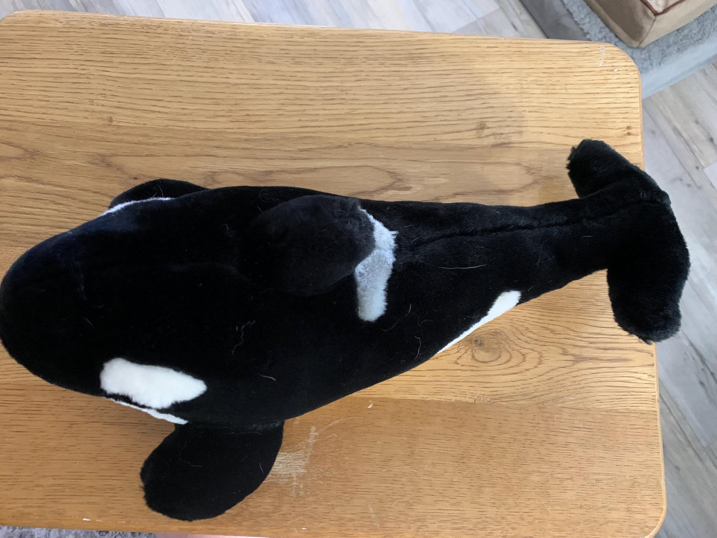 Sea World Shamu Shamu Killer Whale. Black, Gray and White. Approximately 20”. Excellent Condition