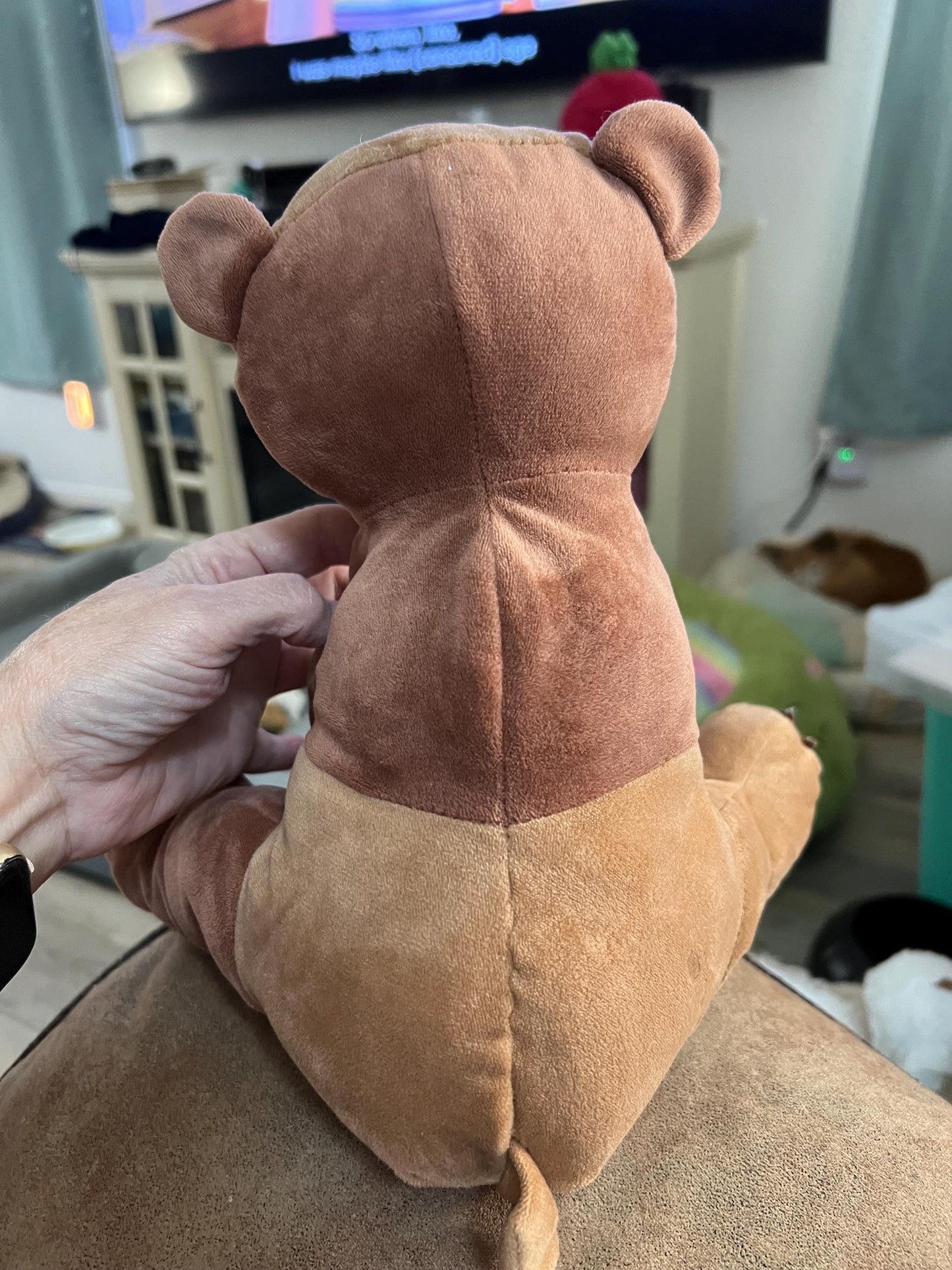 Kohl's Cares Brown Bear Plush by Eric Carle