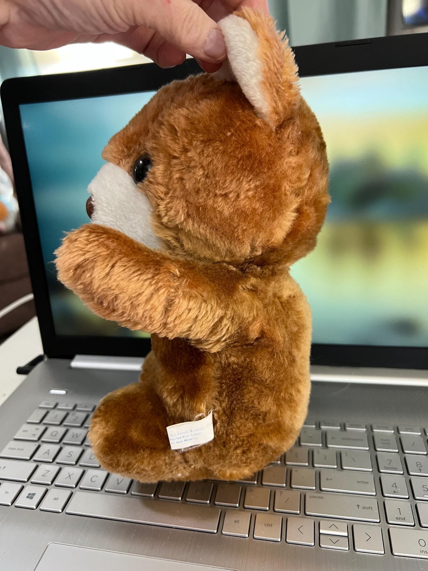 COTC Brown Teddy Bear Plush