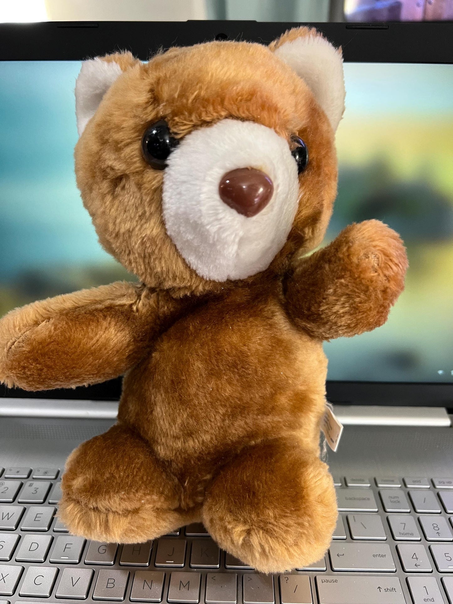 COTC Brown Teddy Bear Plush