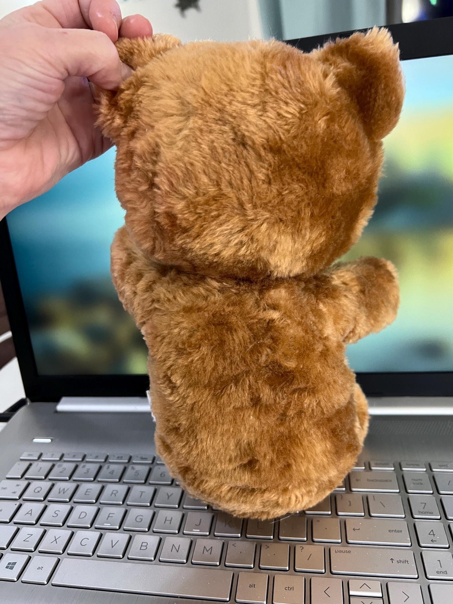 COTC Brown Teddy Bear Plush
