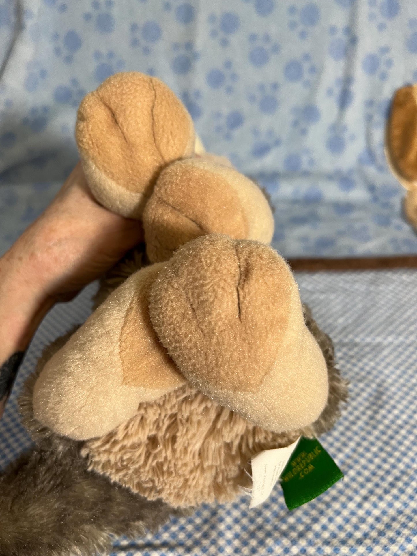 Wild Republic Gray And Tan Wolf Dog Plush. Green Tag 2015