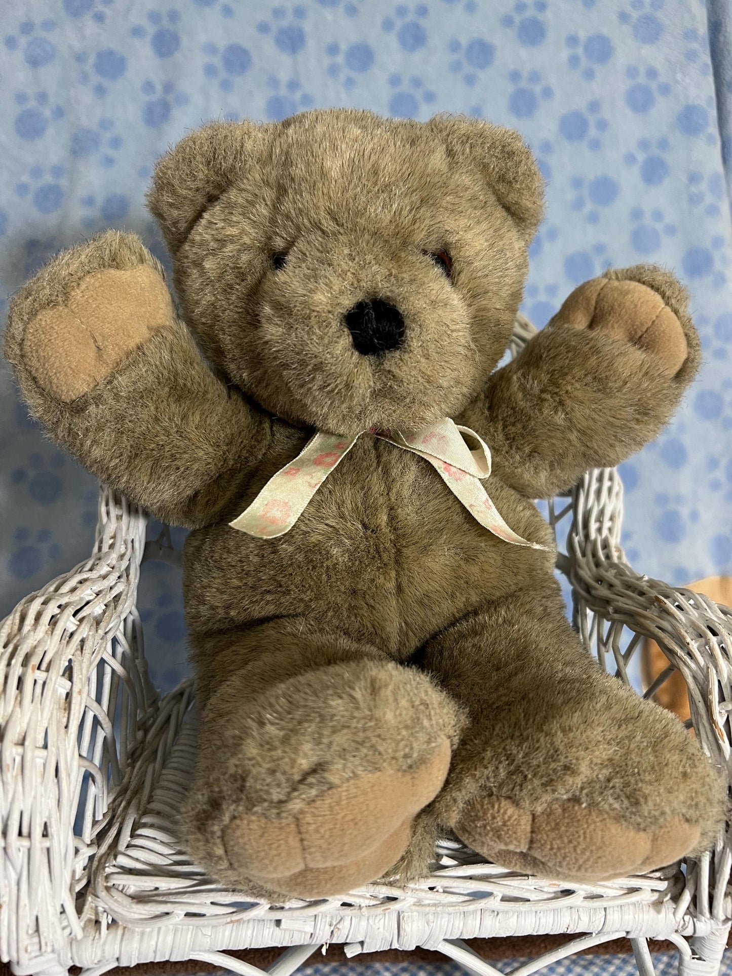 Plush Creations Tan Variegated Teddy Bear Plush Floral Ribbon
