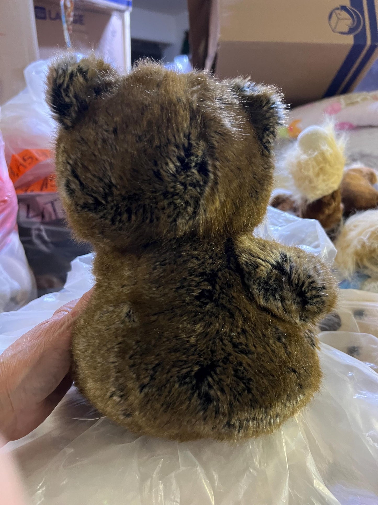 Cookie Brown Teddy Bear Plush Toy - Love Is...