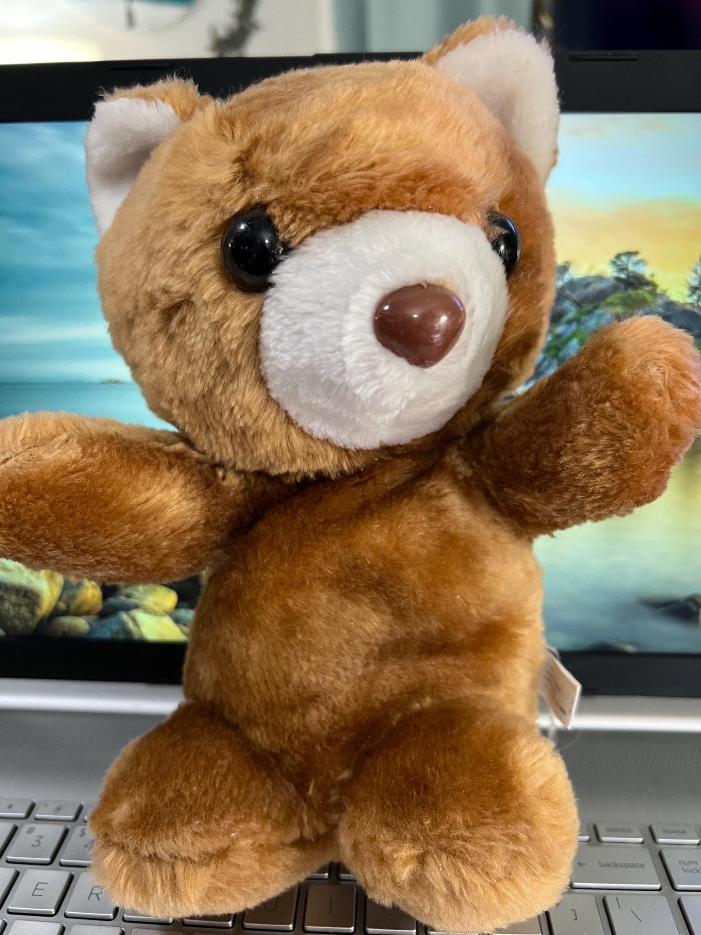 COTC Brown Teddy Bear Plush