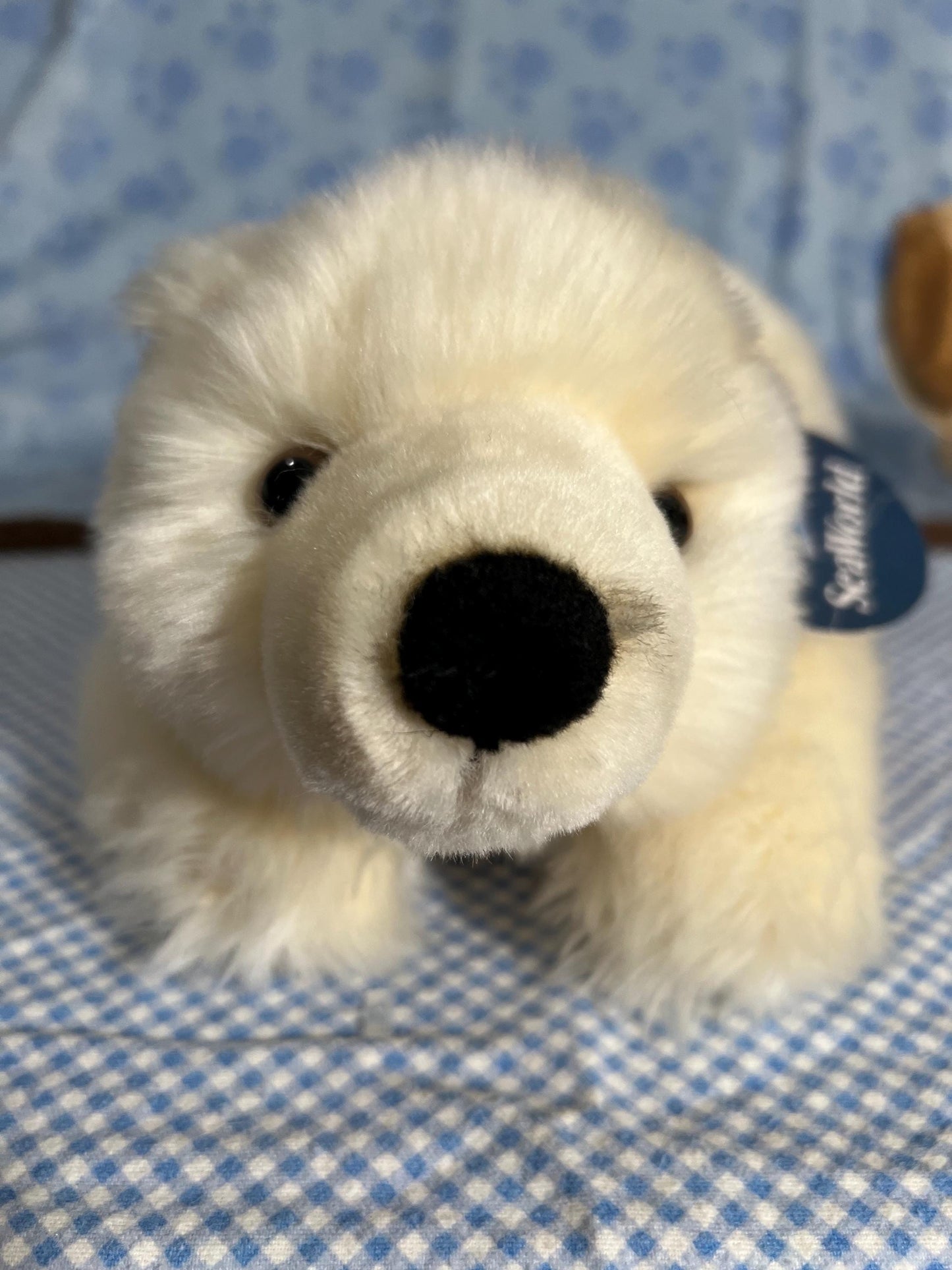 Aurora Sea World Busch Gardens White Polar Bear Plush. Red London Hoodie Laying Down